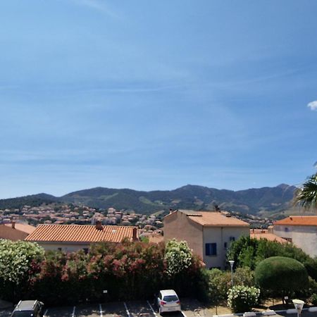 Banyuls-Sur-Mer: T2 Avec Terrasse Couverte Et Parking Privatif - Fr-1-309-146 Экстерьер фото